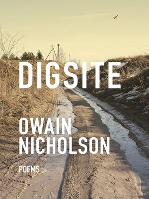 cover image of Digsite